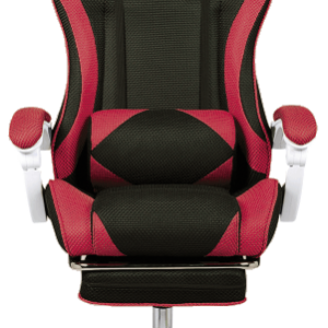 ERGO-RACING GAMER SERIES 1